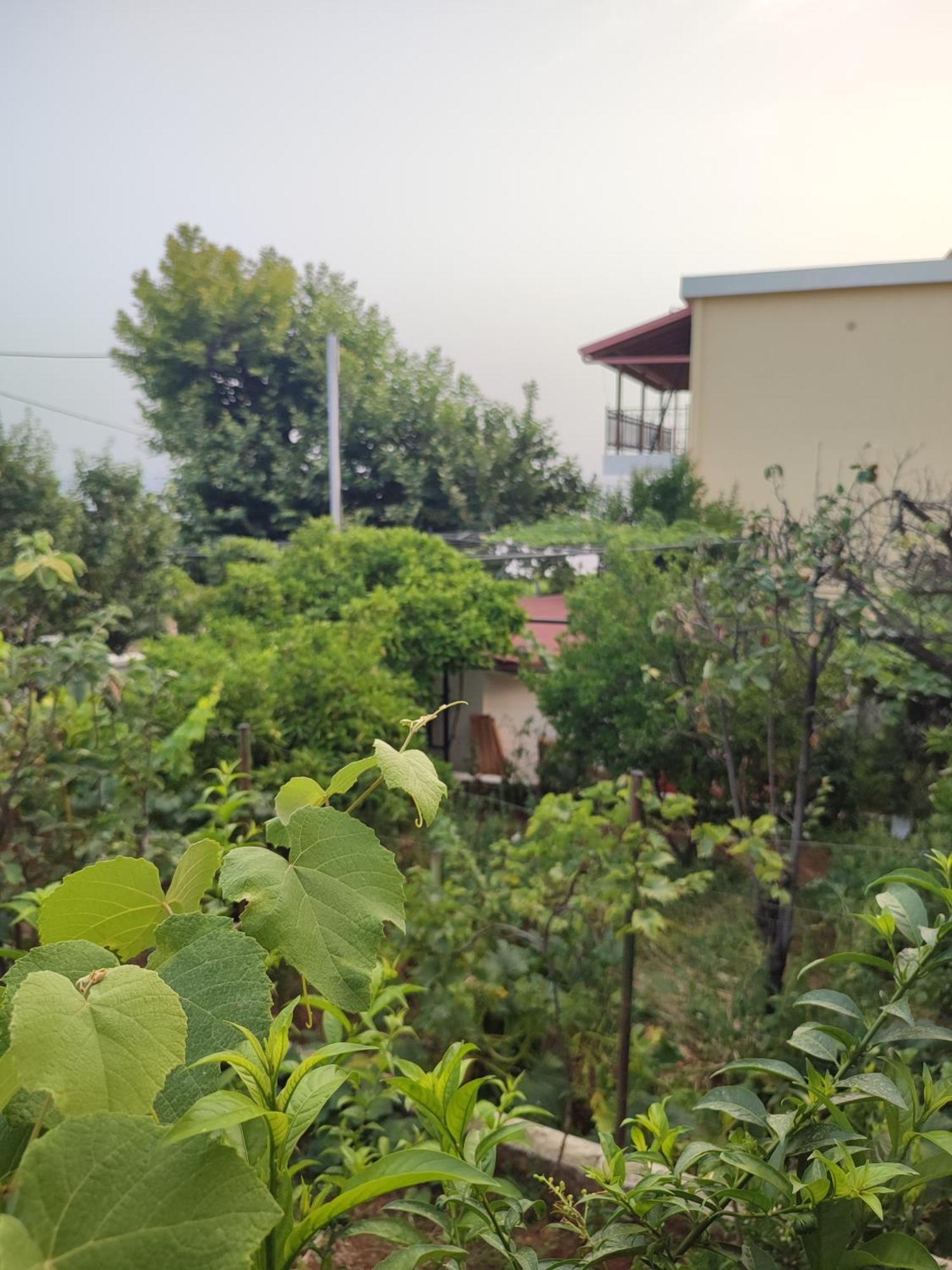 Villa Janilla Dhërmi Esterno foto